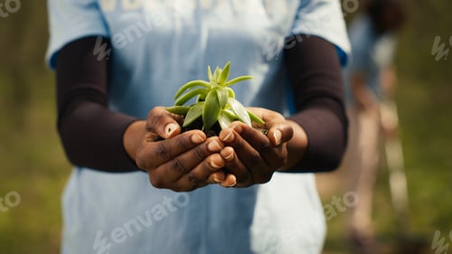 Preview: African american girl presenting small sprout with organic soil