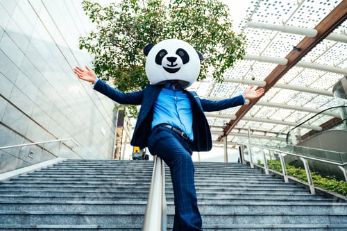 Preview: Storytelling image of a business man wearing a giant panda head