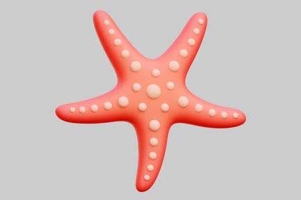 Preview: Cute 3D Coral Starfish