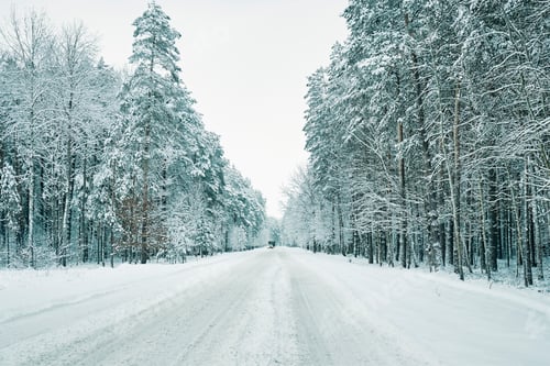 Preview: Snowy road in winter forest with moving car