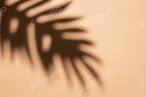 Preview: Shadows from palm leaves