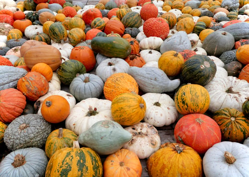 Preview: Pumpkins