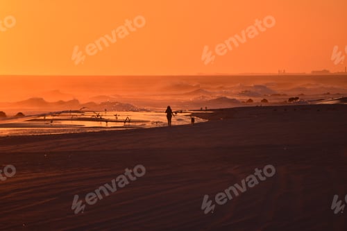 Preview: Woman walking dog on beach at sunset with sea gulls at Long Beach in Long Island New York