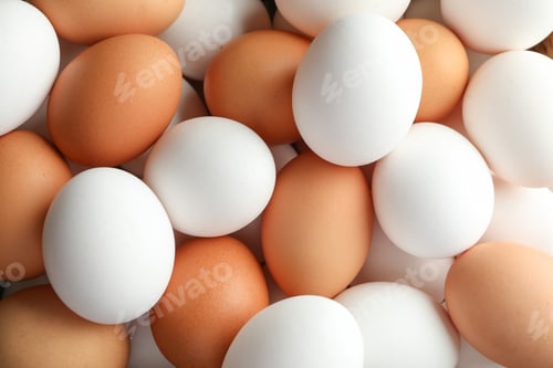 Preview: Many chicken eggs as background, space for text