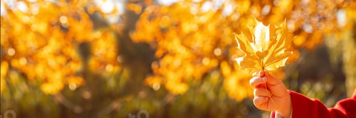 Preview: child in a red coat with autumn leaves. Love autumn. Selective focus.