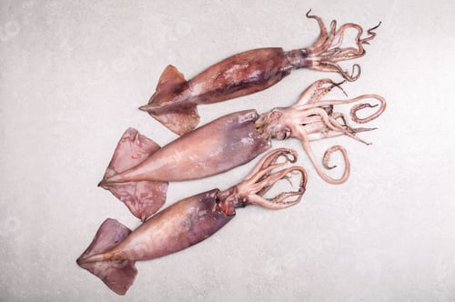 Preview: Fresh squid on gray background top view. Copy space
