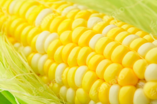 Preview: corn cob
