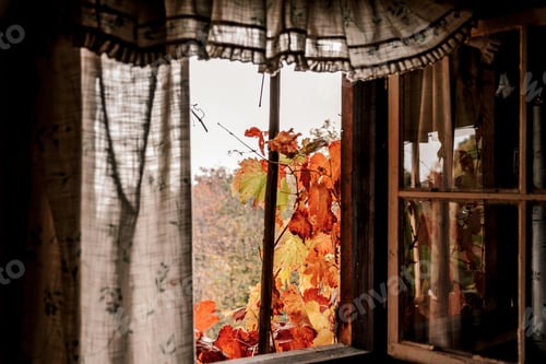 Preview: Idyllic view through wooden window of a cabin in autumn.