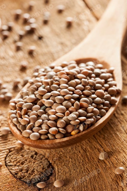 Preview: Dry Organic Brown Lentils