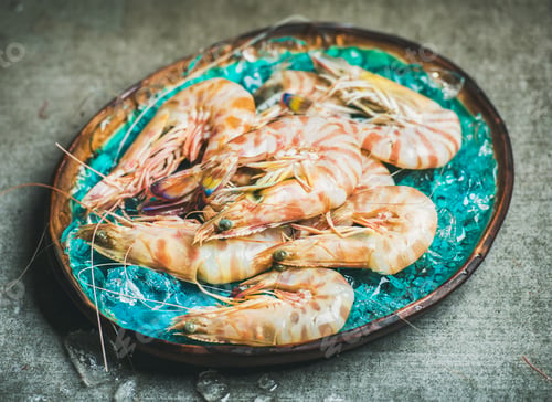 Preview: Raw uncooked tiger prawns on chipped ice, concrete background