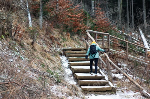 Preview: A young woman is climbing a forest road. Take a hike, outdoor activities, exploring, walking.
