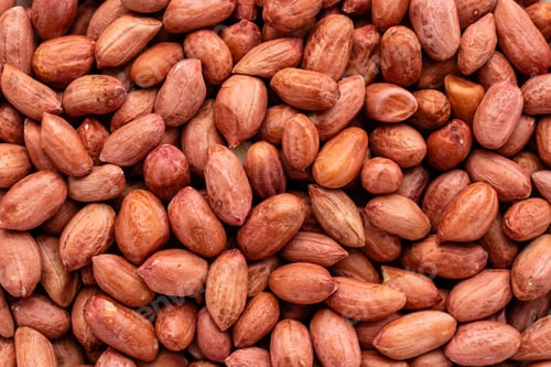 Preview: Peanut close up. It can be used as a background
