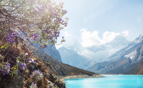 Preview: Lake Paron