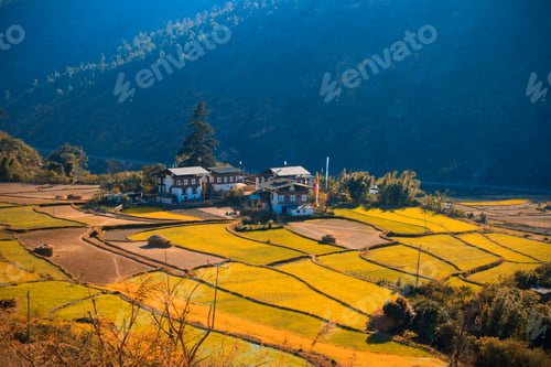 Preview: Life in Bhutan, the traditional way of farming and living