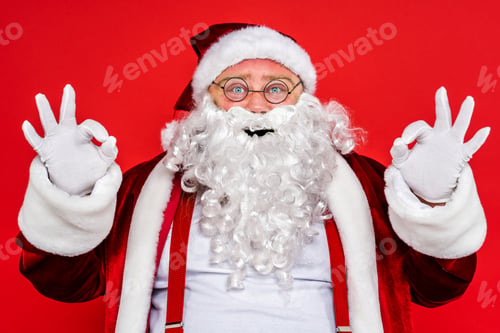 Preview: Funny Santa Claus portrait