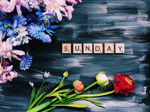 Preview: Sunday ! Weekend ! Abstract acrylic painted background and spring flowers