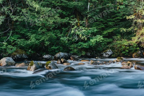 Preview: SRiver flowing through lush, temperate rainforest