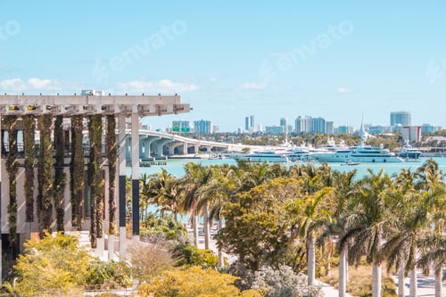 Preview: View of Miami beach, Florida with palm trees and a bridge