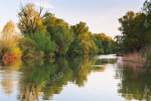 Preview: river channel in the Danube Delta