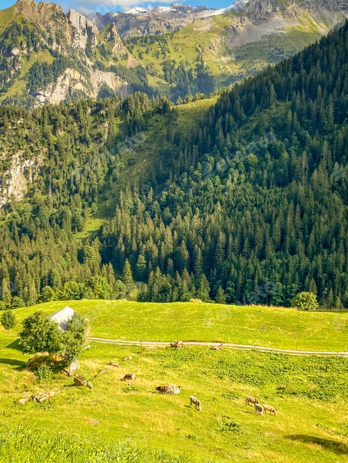 Preview: Switzerland Mountains