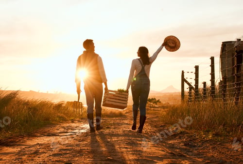 Preview: Shot of two farmers carrying a crate and walking on a farm during sunset