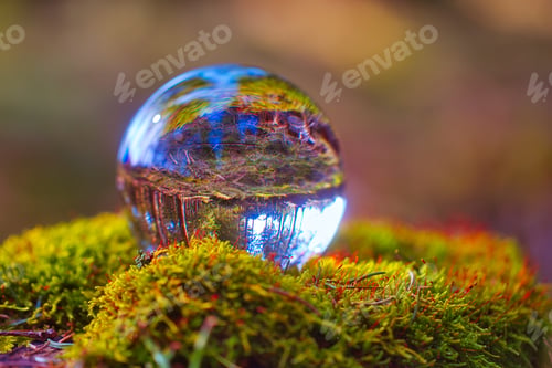 Preview: Close-up view from a lens ball of the landscape in autumn.
