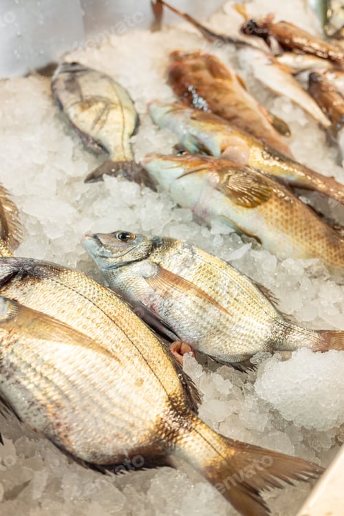 Preview: A fresh catch of fish on ice