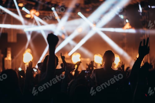 Preview: Concert crowd on a music concert