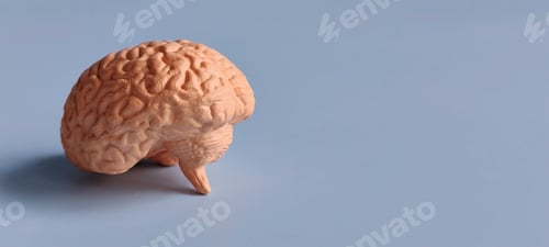 Preview: Human Brain Model Isolated on Blue Background with Copy Space