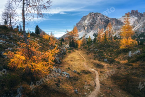 Preview: Beautiful orange trees and path in mountains at sunset. Autumn