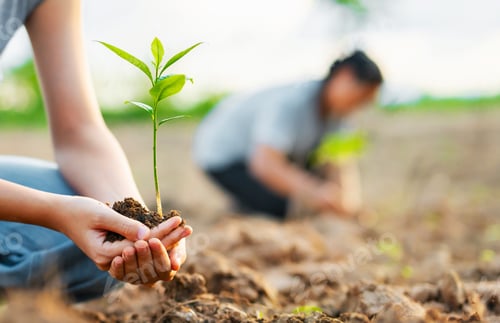 Preview: Concept of nurturing and growth