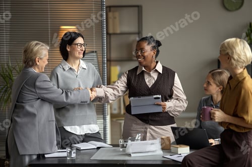 Preview: Middle Aged Caucasian Woman Shaking Hands with Middle Aged Black Woman in Office