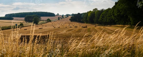Preview: Blockley, The Cotswolds, Gloucestershire, England, United Kingdom