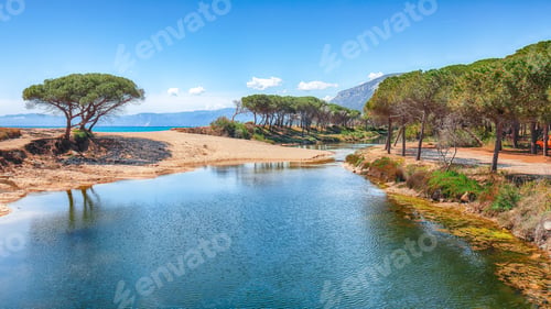 Preview: Splendid view of Maritime pine trees and Osala Beach in national park Stagno Longu.