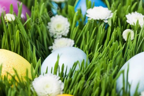 Preview: Painted eggs placed on green grass with camomiles around, easter concept