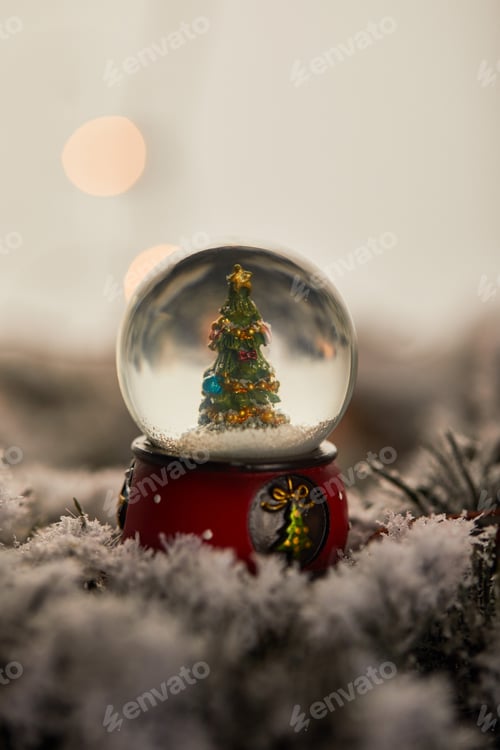 Preview: little snowball with christmas tree standing in snow with spruce branches