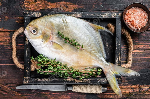 Preview: Raw fish butterfish or pompano with herbs in a wooden tray. Dark wooden background. Top view