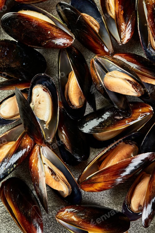 Preview: Close-up of big group raw fresh mussels.
