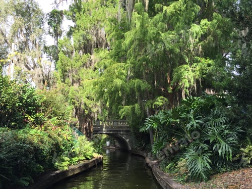 Preview: Venetian Canal north to Lake Maitland in Winter Park FL