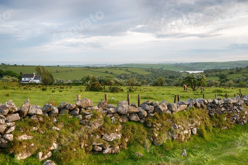 Preview: Bodmin Moor Farm