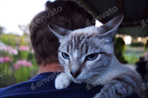 Preview: Boy and kitty