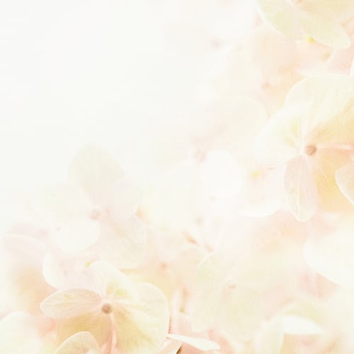 Preview: Colorful Flowers In Soft Color And Blur Style On Mulberry Paper Texture For Romantic Background