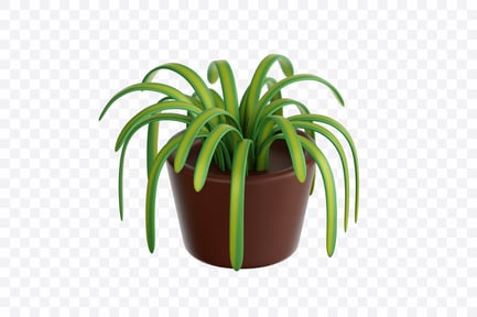 Preview: Spider Plant
