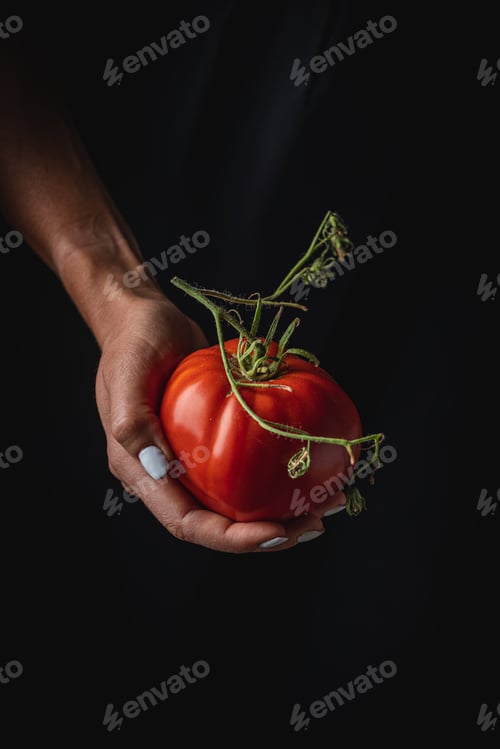 Preview: Red tomatoes in hands