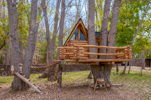 Preview: Beautiful shot of a treehouse in the middle of the forest at daytime