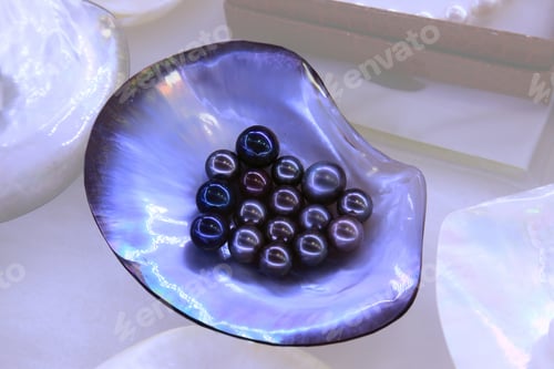 Preview: Multiple pearls in sea shell