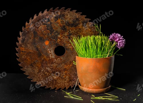 Preview: Composition with old rusty saw and green grass