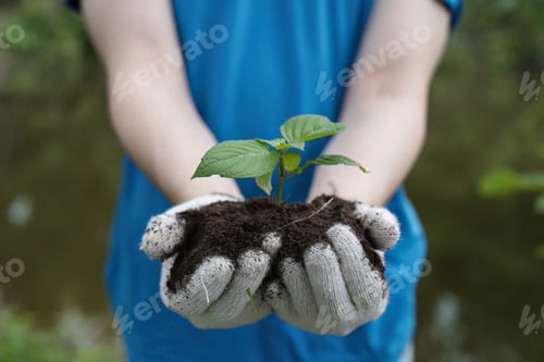 Preview: Volunteers Planting Trees for Environmental Conservation and Community Greening Efforts