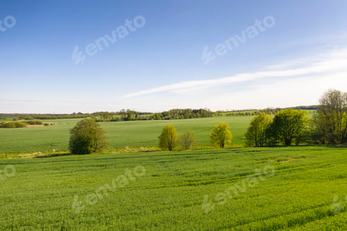 Preview: Aerial vies of the countryside in Denmark