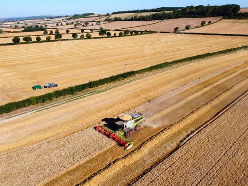 Preview: Aerial View - Harvest Time